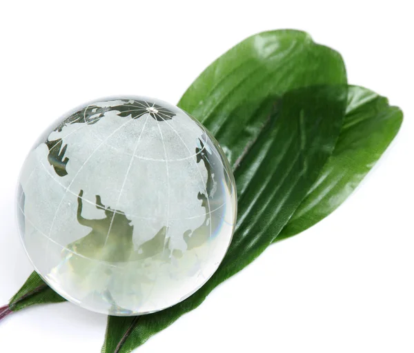 Globe with plant — Stock Photo, Image