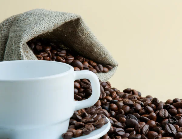 Cup from coffee on coffee grains — Stock Photo, Image