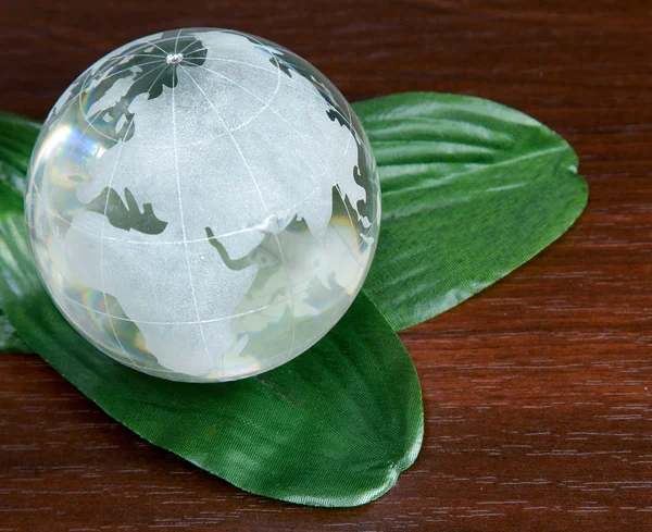 Globe with plant — Stock Photo, Image