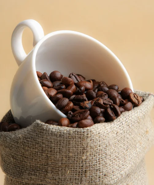 Cup from coffee on coffee grains — Stock Photo, Image