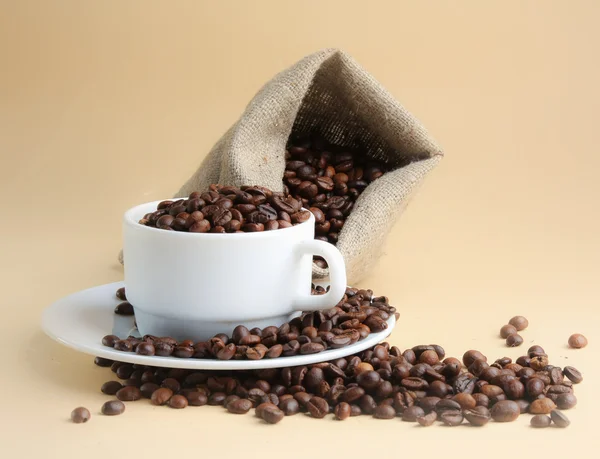 Cup from coffee on coffee grains — Stock Photo, Image