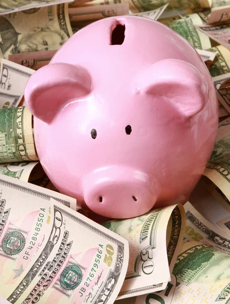 Piggy bank on dollars — Stock Photo, Image