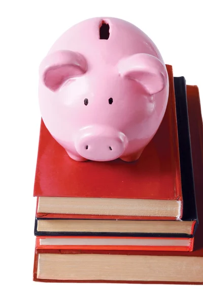 Piggy bank and book — Stock Photo, Image