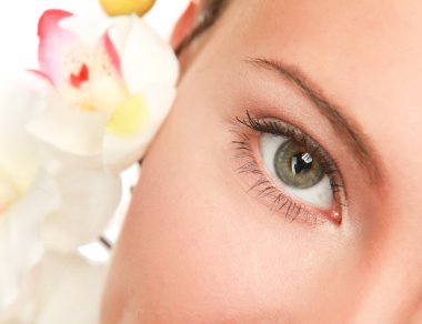 Orkide beyaz izole, genç bir bayanla.