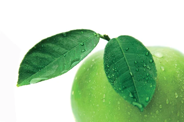 Green apple — Stock Photo, Image