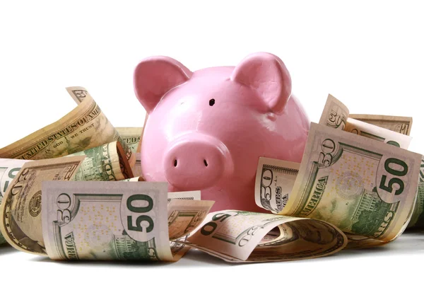 Piggy bank op dollar — Stockfoto