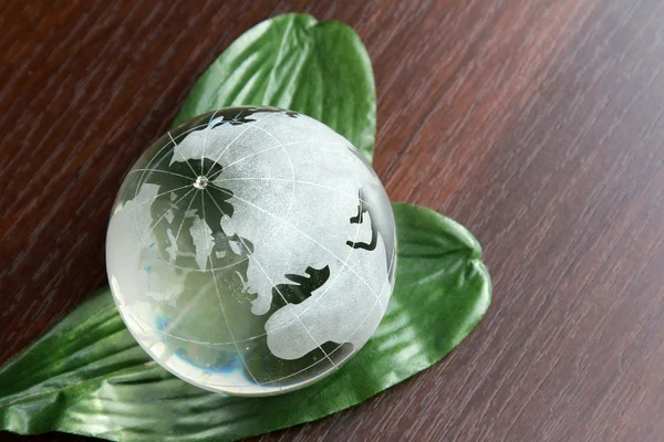 Een glas globe op groene bladeren — Stockfoto