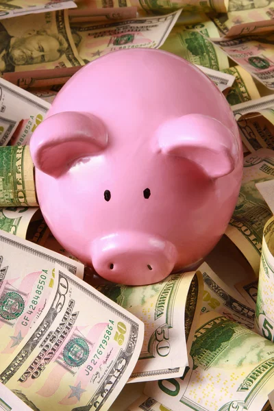 Piggy bank a dollár — Stock Fotó