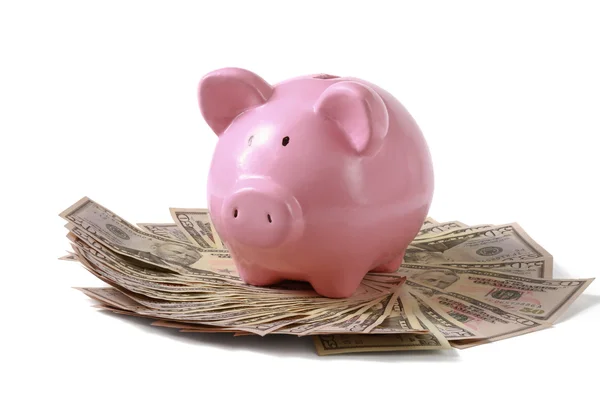 Piggy bank op dollar — Stockfoto