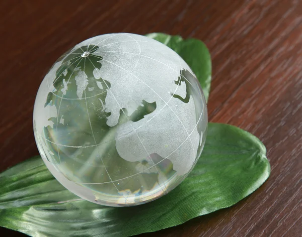Globe with plant. — Stock Photo, Image