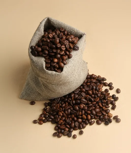 Cup from coffee on coffee grains. — Stock Photo, Image