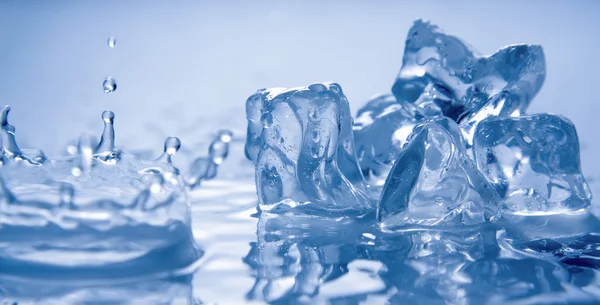 Melting ice on white. Stock Picture