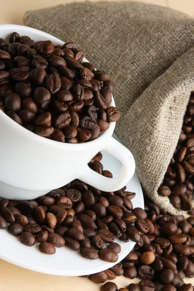 Cup from coffee on coffee grains — Stock Photo, Image