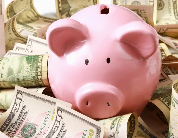 Sparschwein auf Dollar — Stockfoto