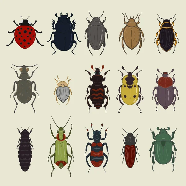 Colorido vector conjunto de pequeños escarabajos — Archivo Imágenes Vectoriales