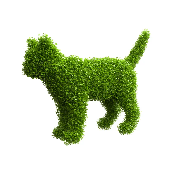 녹색 잎의 동물 실루엣입니다. 고양이. — 스톡 사진