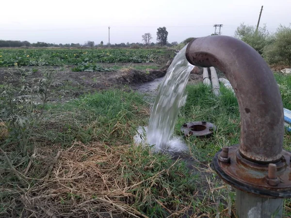 Geïrrigeerd Groen Groenteveld Door Waterstraal Technische Irrigatie — Stockfoto