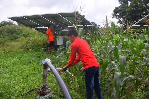 rural boy drinks water on water jet, agricultural equipment for field irrigation, solar panel\'s, corn plants, Rain fog.
