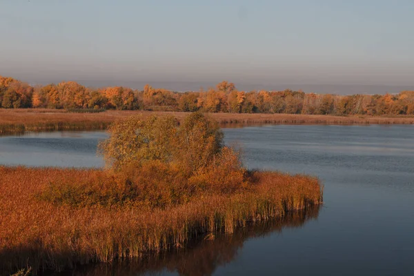 Doğadaki sonbahar ormanlarındaki göllerin havadan görünüşü.