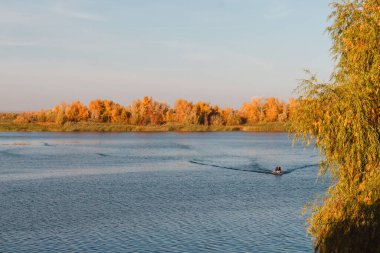 Sonbahar orman ağaçları nehre yansıyor. Sonbahar ormanında nehir.