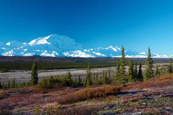Mt. McKinley dalla tundra vicino al campeggio Wonder Lake Foto Stock Royalty Free