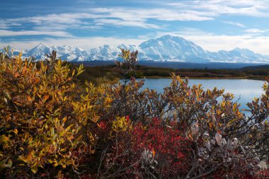 yansıma gölet renkli bush ile alınan mckinley Dağı