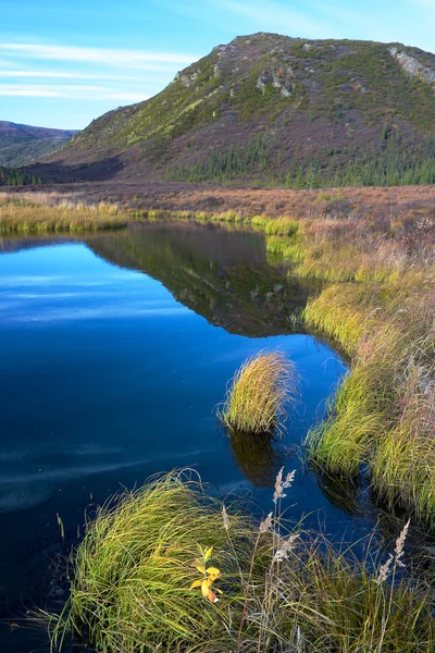 Undra på sjön med en kulle — Stockfoto