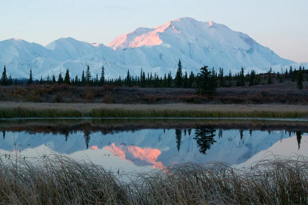 Mt. McKinley a NP Denali durante l'alba, da un lago vicino al campeggio Wonder Lake Immagine Stock