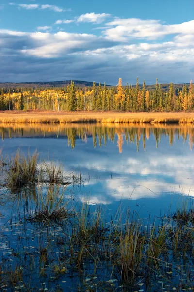 Jesień nad jeziorem w pobliżu fairbanks — Zdjęcie stockowe