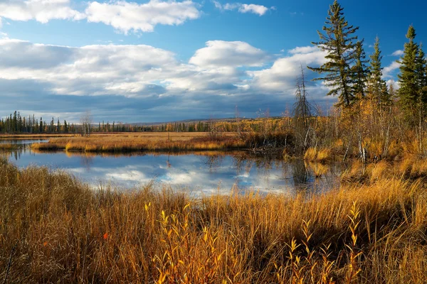 Lago Outono perto de Fairbanks — Fotografia de Stock