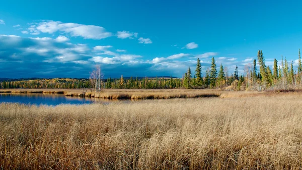 Sonbahar göl kenarında fairbanks — Stok fotoğraf