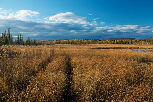 sonbahar göl kenarında fairbanks