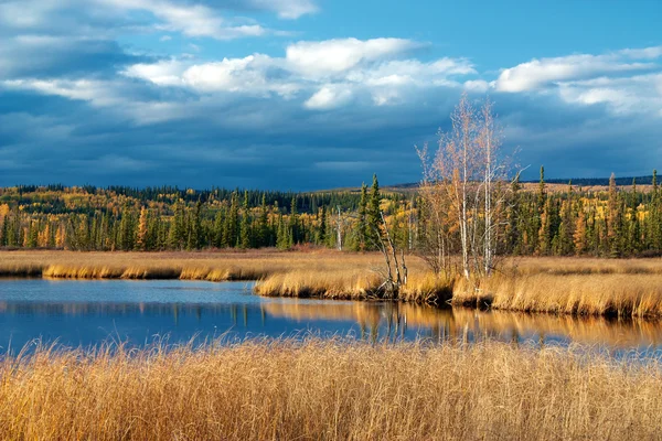 sonbahar göl kenarında fairbanks