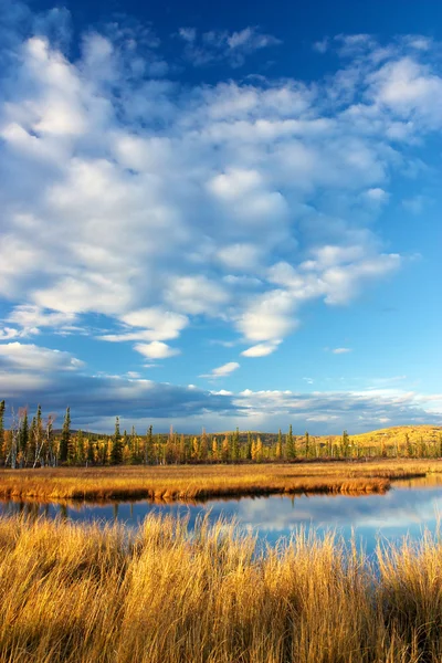 Lago perto de Fairbanks — Fotografia de Stock