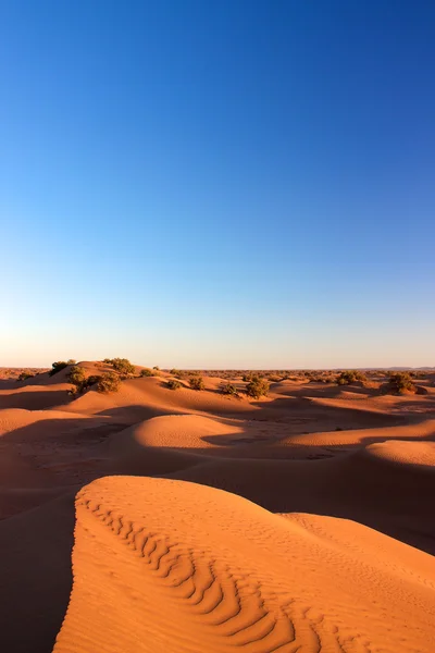 Dunes de sable de Erg Chigaga — Photo