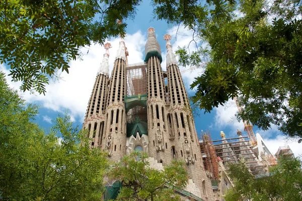 Sagrada familia yeşil park ve ağaçlar