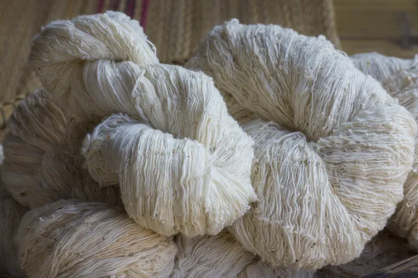 Soie de ver à soie Avant le tissage — Photo