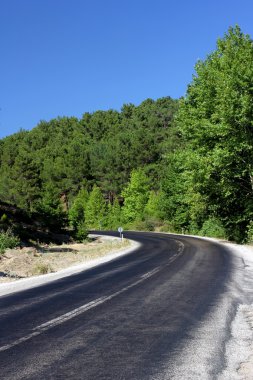 yol