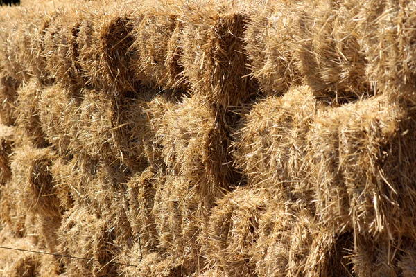 Fondo de pacas de heno paja fresca — Fotos de Stock © dvoevnore #88656538