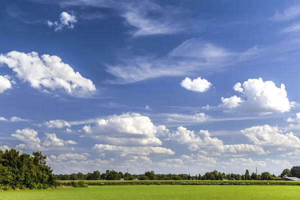 Paisagem verde no verão — Fotografia de Stock