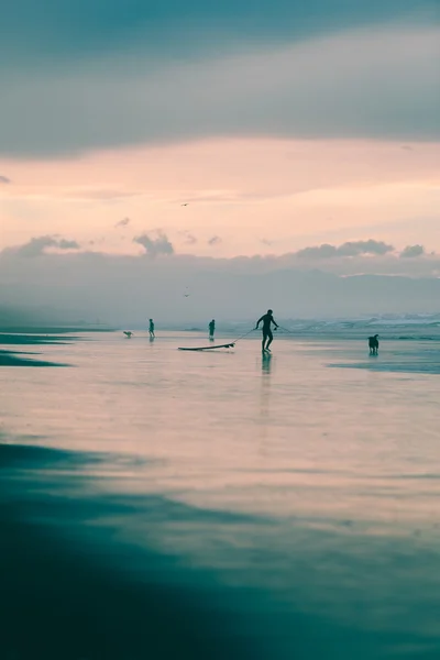 Cães e surfistas na praia — Fotografia de Stock