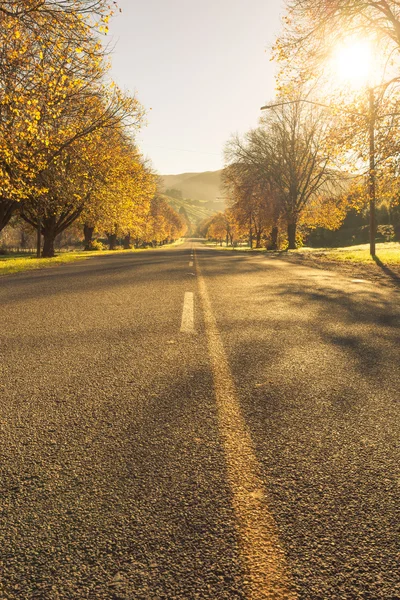 Estradas de outono Nova Zelândia — Fotografia de Stock