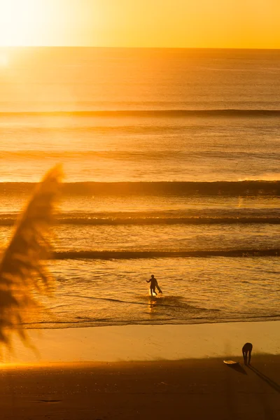 Сервіси на пляжі під час заходу сонця — стокове фото