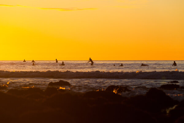 Surfers waiting for a wave