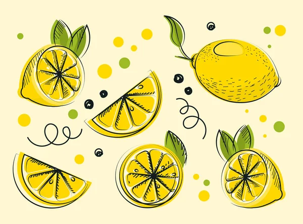 Collection of lemons — Stock Vector