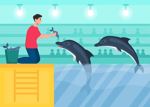 Dipendente alimenta delfini — Vettoriale Stock