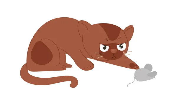 Katt med musen — Stock vektor