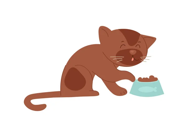 Katt med mat — Stock vektor