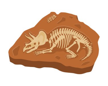 Dinozor iskeleti çıkartması