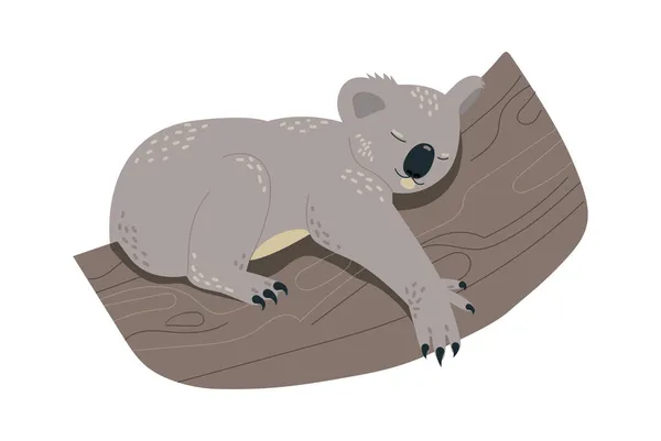 Koala dormir na árvore — Vetor de Stock